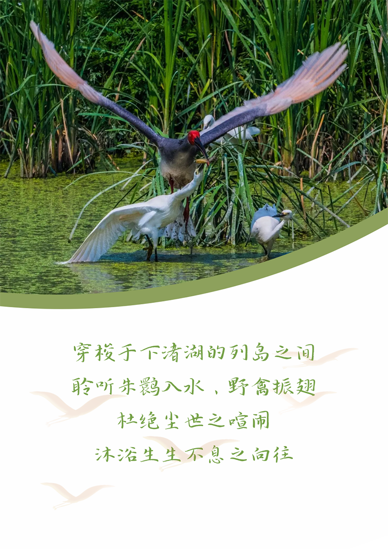 心心念廿 相伴ag凯发 | 与德清相约 贺廿载诞辰